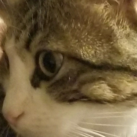 Meet your Posher, Beth - Picture 5 of 8